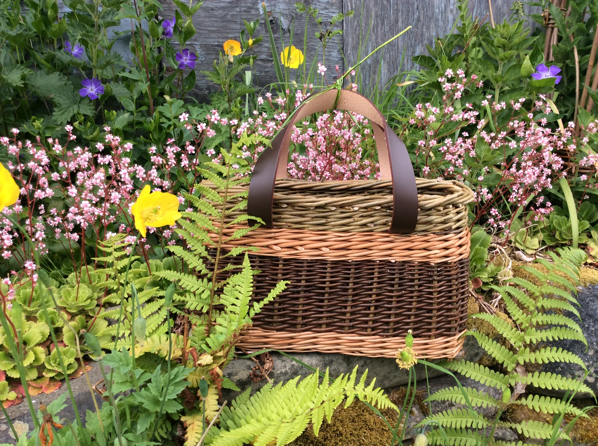 West Wales Willows Basket taken from Willow by Jenny Crisp